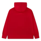 JORDAN  MJ JUMPMAN AIR HOODED LS