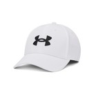 Under Armour Men's UA Blitzing
