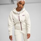 Puma ESS ELEVATED Winterized FZ Hoodie